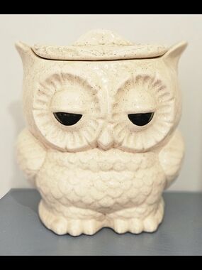 Vintage Double Sided Owl Ceramic Cookie Jar - Cream Speckled